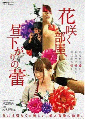 抽屉里的录音带 电影海报